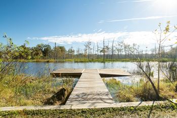 dock on goodby creek in Jacksonville, FL, at Mandarin Bay Apartment Complex grounds.